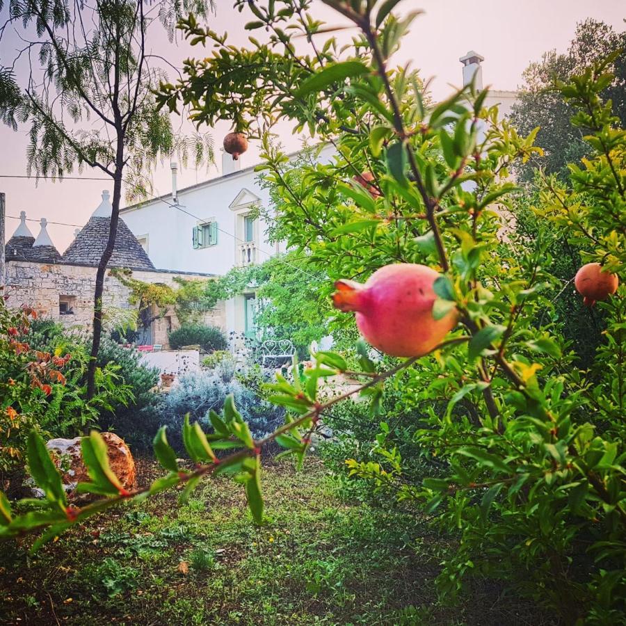 B&B Giovannarolla Green House Ostuni Εξωτερικό φωτογραφία