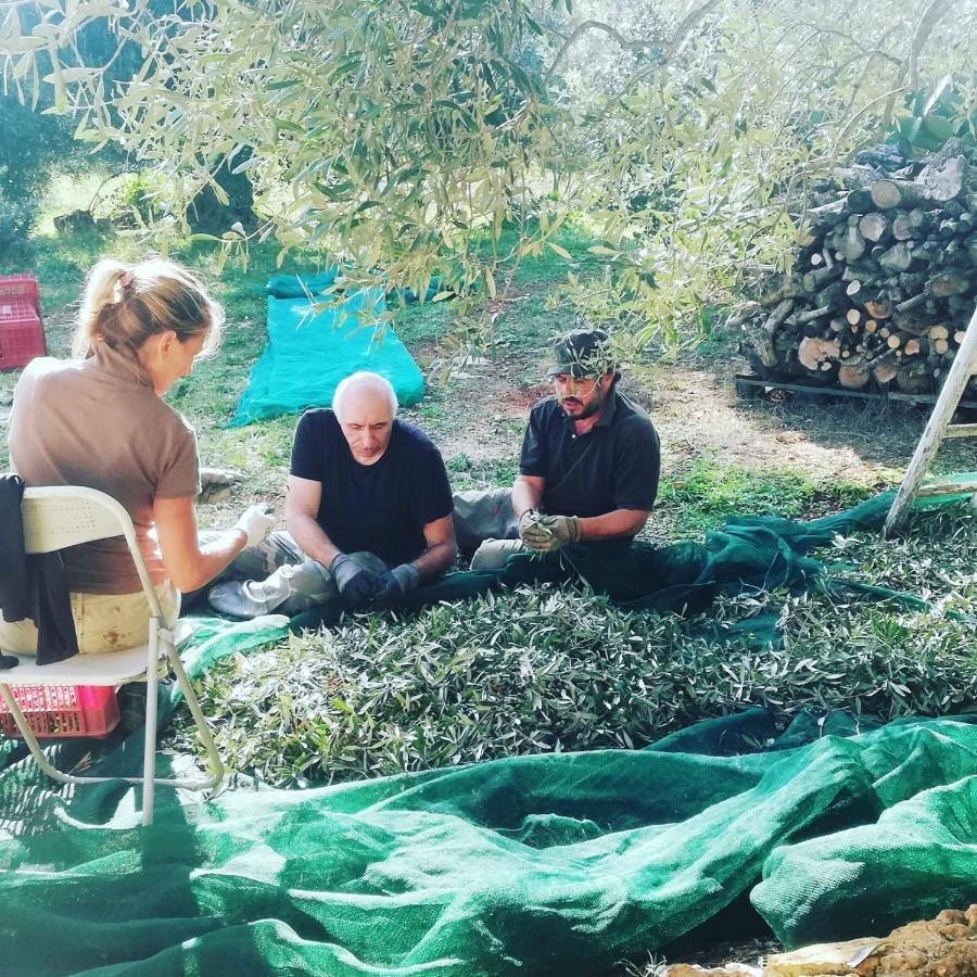 B&B Giovannarolla Green House Ostuni Εξωτερικό φωτογραφία