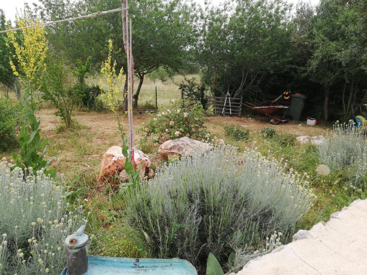 B&B Giovannarolla Green House Ostuni Εξωτερικό φωτογραφία