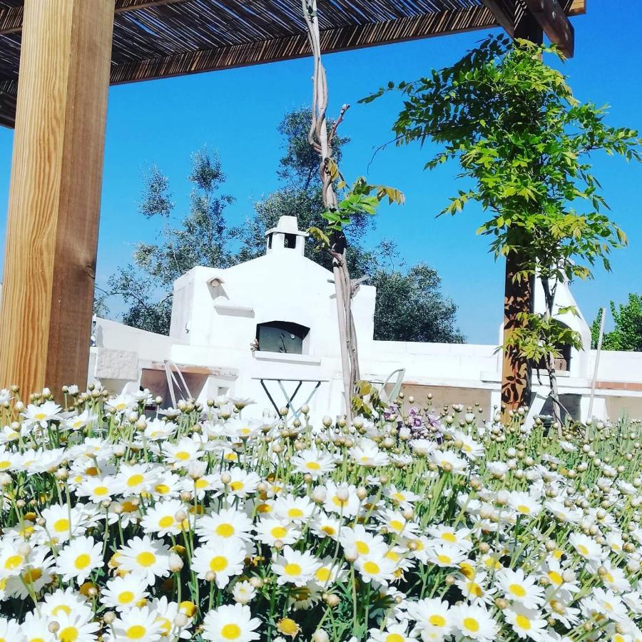 B&B Giovannarolla Green House Ostuni Εξωτερικό φωτογραφία