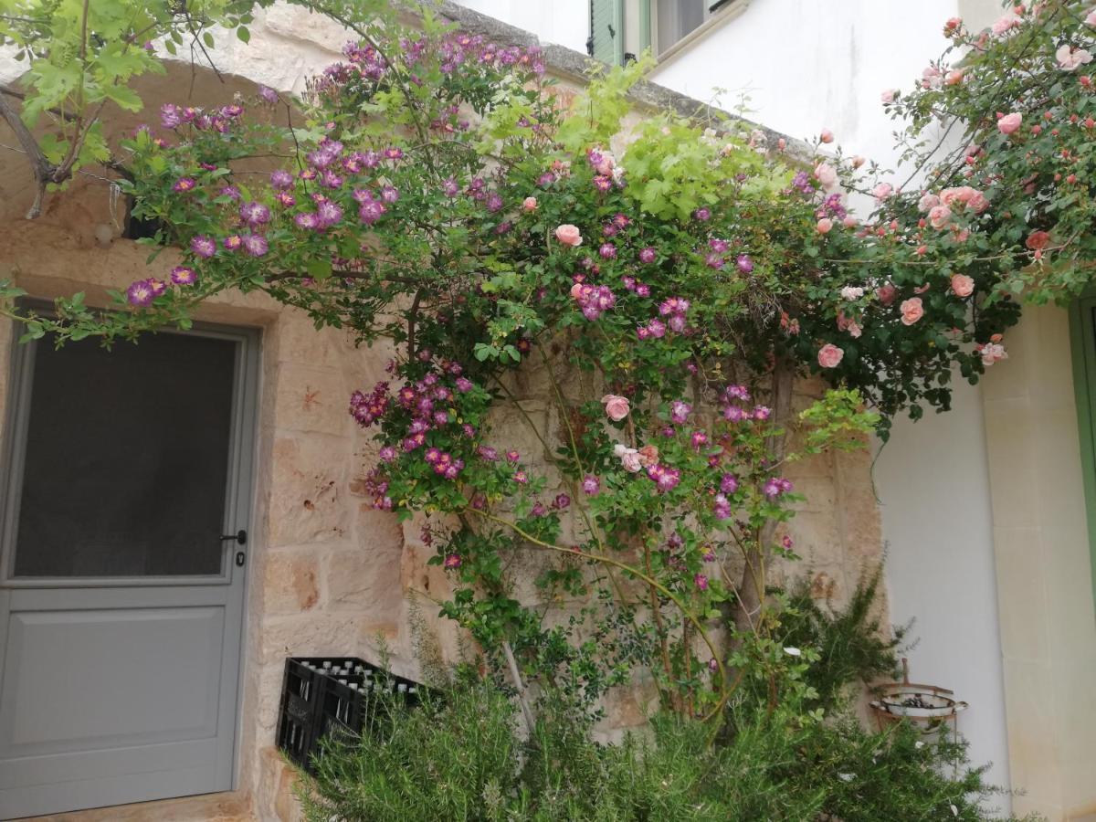 B&B Giovannarolla Green House Ostuni Εξωτερικό φωτογραφία