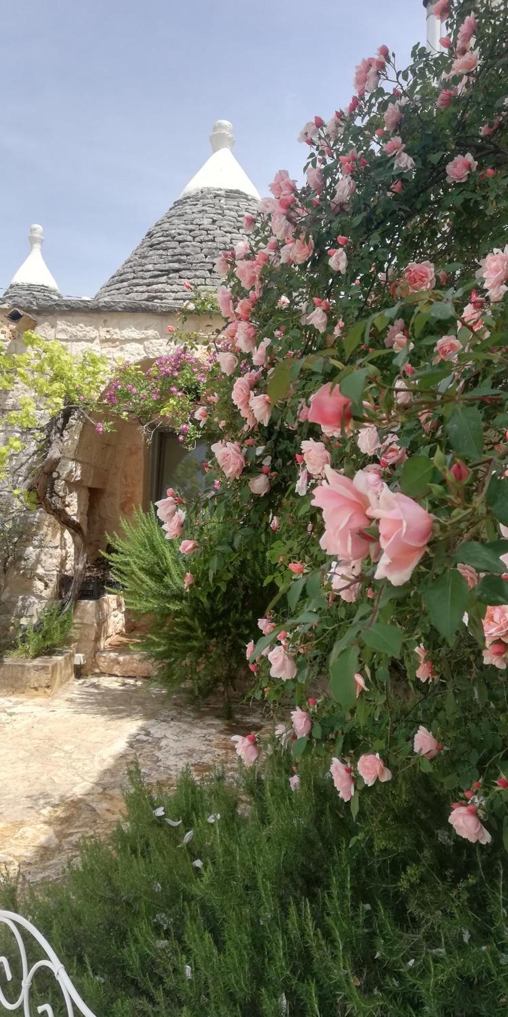 B&B Giovannarolla Green House Ostuni Εξωτερικό φωτογραφία