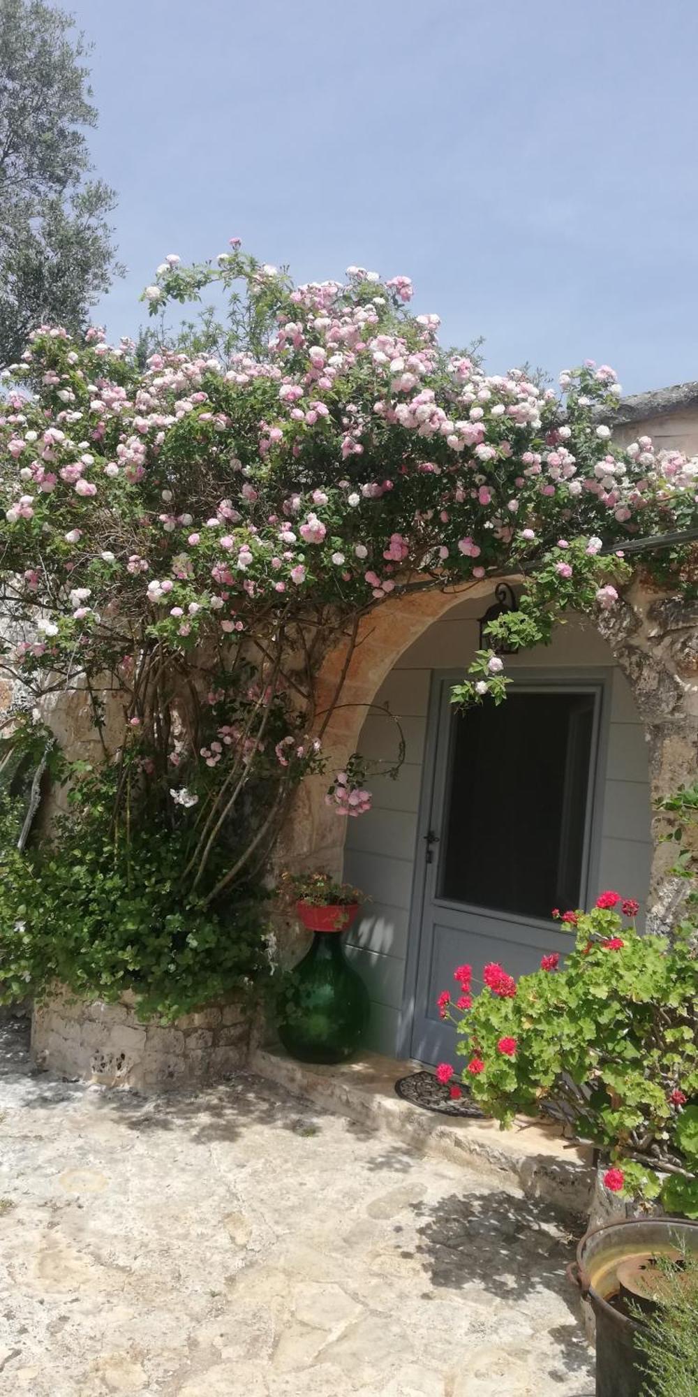B&B Giovannarolla Green House Ostuni Εξωτερικό φωτογραφία