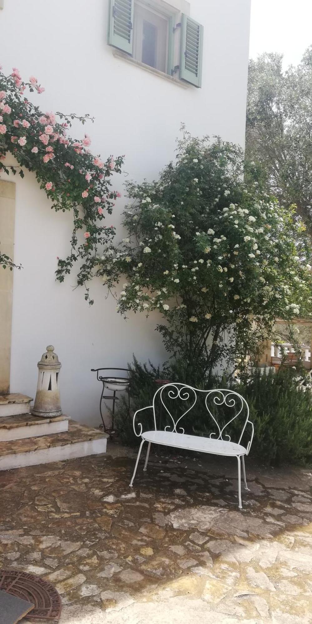 B&B Giovannarolla Green House Ostuni Εξωτερικό φωτογραφία