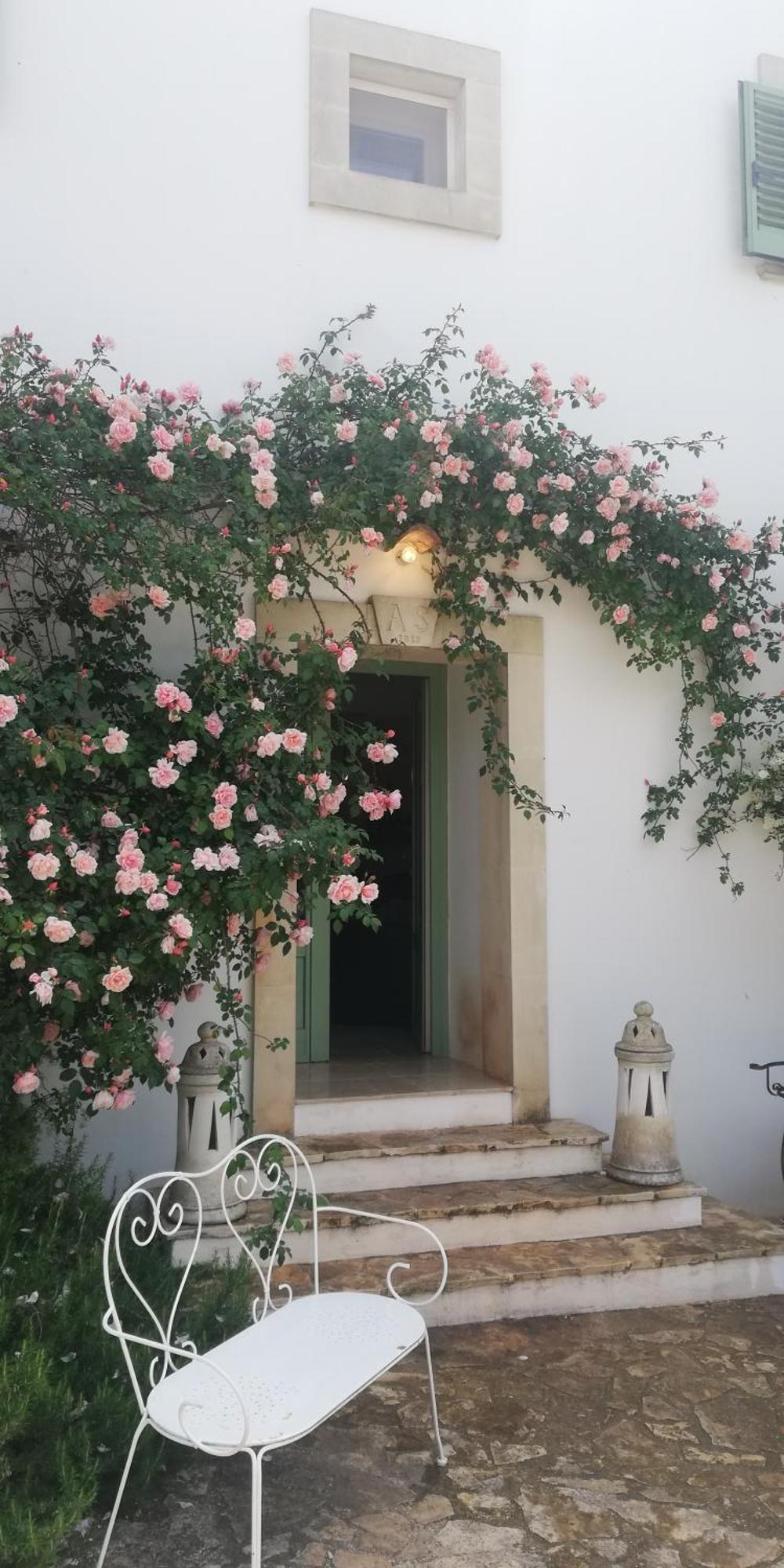 B&B Giovannarolla Green House Ostuni Εξωτερικό φωτογραφία